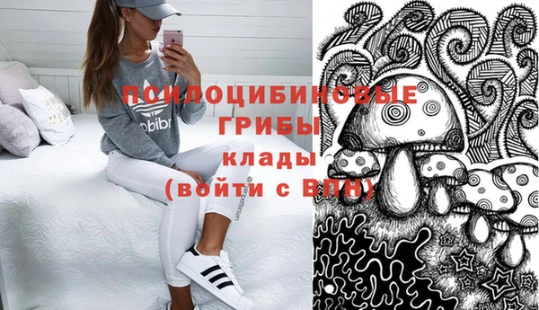 ГАЛЛЮЦИНОГЕННЫЕ ГРИБЫ Балахна