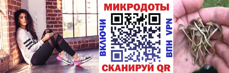 Галлюциногенные грибы Cubensis  Нижняя Салда 